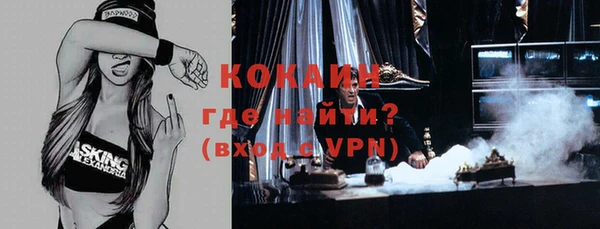 твердый Михайлов