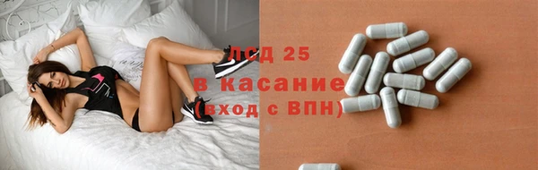твердый Михайлов