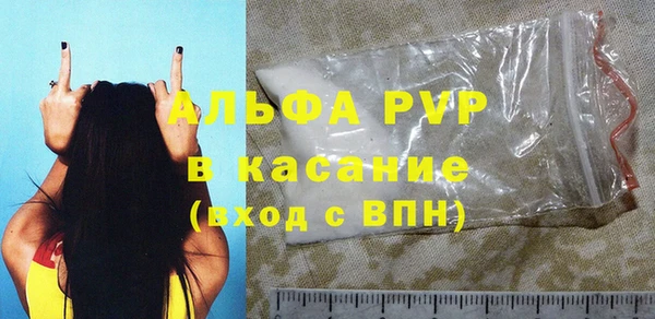 твердый Михайлов