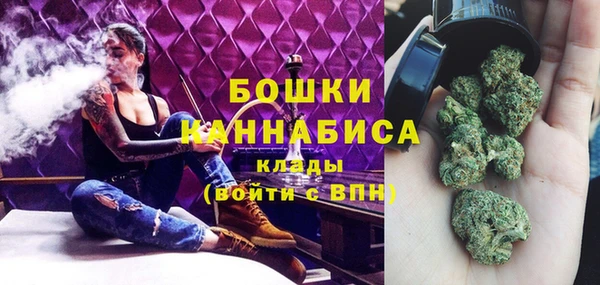 твердый Михайлов