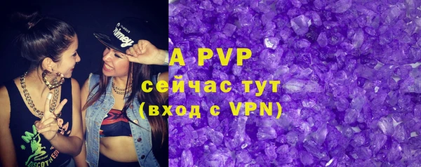 твердый Михайлов