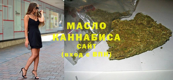 твердый Михайлов