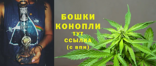 твердый Михайлов