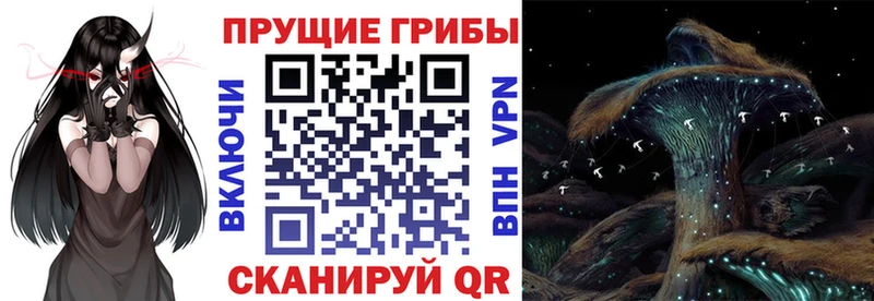 Купить  Светлогорск  Галлюциногенные грибы Magic Shrooms 